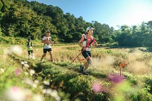 BIB: 
                            <button type="button" onclick="openModal(26633785)" class="btn btn-primary btn-sm float-right btn-popup" data-toggle="modal" data-target=".modal-high-quality">
                        <i class="fas fa-shopping-cart"></i> Add to Cart
                    </button>
                                            <button type="button" onclick="isThisMe(26633785, true)" class="btn btn-success btn-sm float-right btn-popup btn-isme hidden" data-toggle="tooltip" data-placement="bottom" title="นี่คือรูปของคุณใช่ไหม คลิกที่นี่เพื่อเอาเข้าอัลบั้ม">
                        <i class="fas fa-plus"></i> Add to album
                    </button>
                    <button type="button" onclick="isThisMe(26633785, false)" class="btn btn-warning btn-sm float-right btn-popup btn-isnotme hidden">
                        <i class="fas fa-ban"></i> Remove from album
                    </button>