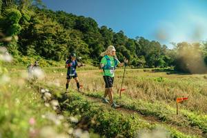 BIB: 
                            <button type="button" onclick="openModal(26684359)" class="btn btn-primary btn-sm float-right btn-popup" data-toggle="modal" data-target=".modal-high-quality">
                        <i class="fas fa-shopping-cart"></i> Add to Cart
                    </button>
                                            <button type="button" onclick="isThisMe(26684359, true)" class="btn btn-success btn-sm float-right btn-popup btn-isme hidden" data-toggle="tooltip" data-placement="bottom" title="นี่คือรูปของคุณใช่ไหม คลิกที่นี่เพื่อเอาเข้าอัลบั้ม">
                        <i class="fas fa-plus"></i> Add to album
                    </button>
                    <button type="button" onclick="isThisMe(26684359, false)" class="btn btn-warning btn-sm float-right btn-popup btn-isnotme hidden">
                        <i class="fas fa-ban"></i> Remove from album
                    </button>