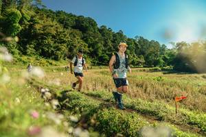 BIB: 
                            <button type="button" onclick="openModal(26638573)" class="btn btn-primary btn-sm float-right btn-popup" data-toggle="modal" data-target=".modal-high-quality">
                        <i class="fas fa-shopping-cart"></i> Add to Cart
                    </button>
                                            <button type="button" onclick="isThisMe(26638573, true)" class="btn btn-success btn-sm float-right btn-popup btn-isme hidden" data-toggle="tooltip" data-placement="bottom" title="นี่คือรูปของคุณใช่ไหม คลิกที่นี่เพื่อเอาเข้าอัลบั้ม">
                        <i class="fas fa-plus"></i> Add to album
                    </button>
                    <button type="button" onclick="isThisMe(26638573, false)" class="btn btn-warning btn-sm float-right btn-popup btn-isnotme hidden">
                        <i class="fas fa-ban"></i> Remove from album
                    </button>