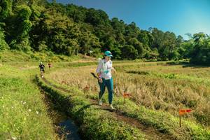 BIB: 
                            <button type="button" onclick="openModal(26694300)" class="btn btn-primary btn-sm float-right btn-popup" data-toggle="modal" data-target=".modal-high-quality">
                        <i class="fas fa-shopping-cart"></i> Add to Cart
                    </button>
                                            <button type="button" onclick="isThisMe(26694300, true)" class="btn btn-success btn-sm float-right btn-popup btn-isme hidden" data-toggle="tooltip" data-placement="bottom" title="นี่คือรูปของคุณใช่ไหม คลิกที่นี่เพื่อเอาเข้าอัลบั้ม">
                        <i class="fas fa-plus"></i> Add to album
                    </button>
                    <button type="button" onclick="isThisMe(26694300, false)" class="btn btn-warning btn-sm float-right btn-popup btn-isnotme hidden">
                        <i class="fas fa-ban"></i> Remove from album
                    </button>