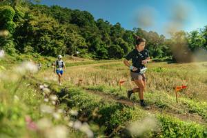 BIB: 
                            <button type="button" onclick="openModal(26699530)" class="btn btn-primary btn-sm float-right btn-popup" data-toggle="modal" data-target=".modal-high-quality">
                        <i class="fas fa-shopping-cart"></i> Add to Cart
                    </button>
                                            <button type="button" onclick="isThisMe(26699530, true)" class="btn btn-success btn-sm float-right btn-popup btn-isme hidden" data-toggle="tooltip" data-placement="bottom" title="นี่คือรูปของคุณใช่ไหม คลิกที่นี่เพื่อเอาเข้าอัลบั้ม">
                        <i class="fas fa-plus"></i> Add to album
                    </button>
                    <button type="button" onclick="isThisMe(26699530, false)" class="btn btn-warning btn-sm float-right btn-popup btn-isnotme hidden">
                        <i class="fas fa-ban"></i> Remove from album
                    </button>