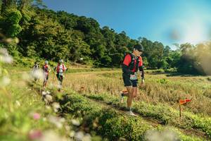 BIB: 
                            <button type="button" onclick="openModal(26638152)" class="btn btn-primary btn-sm float-right btn-popup" data-toggle="modal" data-target=".modal-high-quality">
                        <i class="fas fa-shopping-cart"></i> Add to Cart
                    </button>
                                            <button type="button" onclick="isThisMe(26638152, true)" class="btn btn-success btn-sm float-right btn-popup btn-isme hidden" data-toggle="tooltip" data-placement="bottom" title="นี่คือรูปของคุณใช่ไหม คลิกที่นี่เพื่อเอาเข้าอัลบั้ม">
                        <i class="fas fa-plus"></i> Add to album
                    </button>
                    <button type="button" onclick="isThisMe(26638152, false)" class="btn btn-warning btn-sm float-right btn-popup btn-isnotme hidden">
                        <i class="fas fa-ban"></i> Remove from album
                    </button>