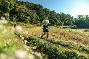 BIB: 
                            <button type="button" onclick="openModal(26634761)" class="btn btn-primary btn-sm float-right btn-popup" data-toggle="modal" data-target=".modal-high-quality">
                        <i class="fas fa-shopping-cart"></i> Add to Cart
                    </button>
                                            <button type="button" onclick="isThisMe(26634761, true)" class="btn btn-success btn-sm float-right btn-popup btn-isme hidden" data-toggle="tooltip" data-placement="bottom" title="นี่คือรูปของคุณใช่ไหม คลิกที่นี่เพื่อเอาเข้าอัลบั้ม">
                        <i class="fas fa-plus"></i> Add to album
                    </button>
                    <button type="button" onclick="isThisMe(26634761, false)" class="btn btn-warning btn-sm float-right btn-popup btn-isnotme hidden">
                        <i class="fas fa-ban"></i> Remove from album
                    </button>