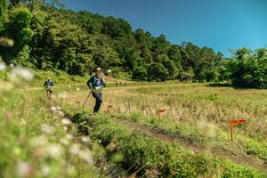 BIB: 
                            <button type="button" onclick="openModal(26732574)" class="btn btn-primary btn-sm float-right btn-popup" data-toggle="modal" data-target=".modal-high-quality">
                        <i class="fas fa-shopping-cart"></i> Add to Cart
                    </button>
                                            <button type="button" onclick="isThisMe(26732574, true)" class="btn btn-success btn-sm float-right btn-popup btn-isme hidden" data-toggle="tooltip" data-placement="bottom" title="นี่คือรูปของคุณใช่ไหม คลิกที่นี่เพื่อเอาเข้าอัลบั้ม">
                        <i class="fas fa-plus"></i> Add to album
                    </button>
                    <button type="button" onclick="isThisMe(26732574, false)" class="btn btn-warning btn-sm float-right btn-popup btn-isnotme hidden">
                        <i class="fas fa-ban"></i> Remove from album
                    </button>