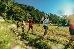 BIB: 
                            <button type="button" onclick="openModal(26637921)" class="btn btn-primary btn-sm float-right btn-popup" data-toggle="modal" data-target=".modal-high-quality">
                        <i class="fas fa-shopping-cart"></i> Add to Cart
                    </button>
                                            <button type="button" onclick="isThisMe(26637921, true)" class="btn btn-success btn-sm float-right btn-popup btn-isme hidden" data-toggle="tooltip" data-placement="bottom" title="นี่คือรูปของคุณใช่ไหม คลิกที่นี่เพื่อเอาเข้าอัลบั้ม">
                        <i class="fas fa-plus"></i> Add to album
                    </button>
                    <button type="button" onclick="isThisMe(26637921, false)" class="btn btn-warning btn-sm float-right btn-popup btn-isnotme hidden">
                        <i class="fas fa-ban"></i> Remove from album
                    </button>