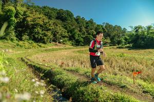 BIB: 
                            <button type="button" onclick="openModal(26697400)" class="btn btn-primary btn-sm float-right btn-popup" data-toggle="modal" data-target=".modal-high-quality">
                        <i class="fas fa-shopping-cart"></i> Add to Cart
                    </button>
                                            <button type="button" onclick="isThisMe(26697400, true)" class="btn btn-success btn-sm float-right btn-popup btn-isme hidden" data-toggle="tooltip" data-placement="bottom" title="นี่คือรูปของคุณใช่ไหม คลิกที่นี่เพื่อเอาเข้าอัลบั้ม">
                        <i class="fas fa-plus"></i> Add to album
                    </button>
                    <button type="button" onclick="isThisMe(26697400, false)" class="btn btn-warning btn-sm float-right btn-popup btn-isnotme hidden">
                        <i class="fas fa-ban"></i> Remove from album
                    </button>