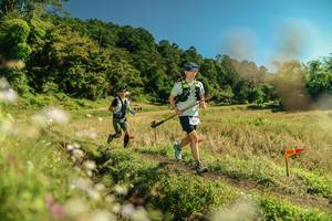 BIB: 
                            <button type="button" onclick="openModal(26700091)" class="btn btn-primary btn-sm float-right btn-popup" data-toggle="modal" data-target=".modal-high-quality">
                        <i class="fas fa-shopping-cart"></i> Add to Cart
                    </button>
                                            <button type="button" onclick="isThisMe(26700091, true)" class="btn btn-success btn-sm float-right btn-popup btn-isme hidden" data-toggle="tooltip" data-placement="bottom" title="นี่คือรูปของคุณใช่ไหม คลิกที่นี่เพื่อเอาเข้าอัลบั้ม">
                        <i class="fas fa-plus"></i> Add to album
                    </button>
                    <button type="button" onclick="isThisMe(26700091, false)" class="btn btn-warning btn-sm float-right btn-popup btn-isnotme hidden">
                        <i class="fas fa-ban"></i> Remove from album
                    </button>