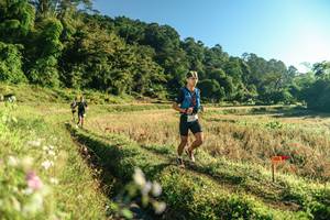 BIB: 
                            <button type="button" onclick="openModal(26633722)" class="btn btn-primary btn-sm float-right btn-popup" data-toggle="modal" data-target=".modal-high-quality">
                        <i class="fas fa-shopping-cart"></i> Add to Cart
                    </button>
                                            <button type="button" onclick="isThisMe(26633722, true)" class="btn btn-success btn-sm float-right btn-popup btn-isme hidden" data-toggle="tooltip" data-placement="bottom" title="นี่คือรูปของคุณใช่ไหม คลิกที่นี่เพื่อเอาเข้าอัลบั้ม">
                        <i class="fas fa-plus"></i> Add to album
                    </button>
                    <button type="button" onclick="isThisMe(26633722, false)" class="btn btn-warning btn-sm float-right btn-popup btn-isnotme hidden">
                        <i class="fas fa-ban"></i> Remove from album
                    </button>