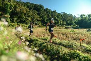 BIB: 
                            <button type="button" onclick="openModal(26634560)" class="btn btn-primary btn-sm float-right btn-popup" data-toggle="modal" data-target=".modal-high-quality">
                        <i class="fas fa-shopping-cart"></i> Add to Cart
                    </button>
                                            <button type="button" onclick="isThisMe(26634560, true)" class="btn btn-success btn-sm float-right btn-popup btn-isme hidden" data-toggle="tooltip" data-placement="bottom" title="นี่คือรูปของคุณใช่ไหม คลิกที่นี่เพื่อเอาเข้าอัลบั้ม">
                        <i class="fas fa-plus"></i> Add to album
                    </button>
                    <button type="button" onclick="isThisMe(26634560, false)" class="btn btn-warning btn-sm float-right btn-popup btn-isnotme hidden">
                        <i class="fas fa-ban"></i> Remove from album
                    </button>