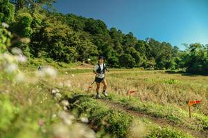 BIB: 
                            <button type="button" onclick="openModal(26705378)" class="btn btn-primary btn-sm float-right btn-popup" data-toggle="modal" data-target=".modal-high-quality">
                        <i class="fas fa-shopping-cart"></i> Add to Cart
                    </button>
                                            <button type="button" onclick="isThisMe(26705378, true)" class="btn btn-success btn-sm float-right btn-popup btn-isme hidden" data-toggle="tooltip" data-placement="bottom" title="นี่คือรูปของคุณใช่ไหม คลิกที่นี่เพื่อเอาเข้าอัลบั้ม">
                        <i class="fas fa-plus"></i> Add to album
                    </button>
                    <button type="button" onclick="isThisMe(26705378, false)" class="btn btn-warning btn-sm float-right btn-popup btn-isnotme hidden">
                        <i class="fas fa-ban"></i> Remove from album
                    </button>