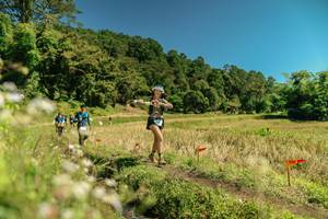 BIB: 
                            <button type="button" onclick="openModal(26733151)" class="btn btn-primary btn-sm float-right btn-popup" data-toggle="modal" data-target=".modal-high-quality">
                        <i class="fas fa-shopping-cart"></i> Add to Cart
                    </button>
                                            <button type="button" onclick="isThisMe(26733151, true)" class="btn btn-success btn-sm float-right btn-popup btn-isme hidden" data-toggle="tooltip" data-placement="bottom" title="นี่คือรูปของคุณใช่ไหม คลิกที่นี่เพื่อเอาเข้าอัลบั้ม">
                        <i class="fas fa-plus"></i> Add to album
                    </button>
                    <button type="button" onclick="isThisMe(26733151, false)" class="btn btn-warning btn-sm float-right btn-popup btn-isnotme hidden">
                        <i class="fas fa-ban"></i> Remove from album
                    </button>