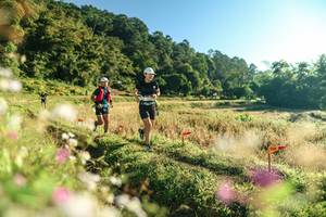 BIB: 
                            <button type="button" onclick="openModal(26633455)" class="btn btn-primary btn-sm float-right btn-popup" data-toggle="modal" data-target=".modal-high-quality">
                        <i class="fas fa-shopping-cart"></i> Add to Cart
                    </button>
                                            <button type="button" onclick="isThisMe(26633455, true)" class="btn btn-success btn-sm float-right btn-popup btn-isme hidden" data-toggle="tooltip" data-placement="bottom" title="นี่คือรูปของคุณใช่ไหม คลิกที่นี่เพื่อเอาเข้าอัลบั้ม">
                        <i class="fas fa-plus"></i> Add to album
                    </button>
                    <button type="button" onclick="isThisMe(26633455, false)" class="btn btn-warning btn-sm float-right btn-popup btn-isnotme hidden">
                        <i class="fas fa-ban"></i> Remove from album
                    </button>