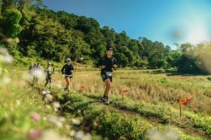 BIB: 
                            <button type="button" onclick="openModal(26638446)" class="btn btn-primary btn-sm float-right btn-popup" data-toggle="modal" data-target=".modal-high-quality">
                        <i class="fas fa-shopping-cart"></i> Add to Cart
                    </button>
                                            <button type="button" onclick="isThisMe(26638446, true)" class="btn btn-success btn-sm float-right btn-popup btn-isme hidden" data-toggle="tooltip" data-placement="bottom" title="นี่คือรูปของคุณใช่ไหม คลิกที่นี่เพื่อเอาเข้าอัลบั้ม">
                        <i class="fas fa-plus"></i> Add to album
                    </button>
                    <button type="button" onclick="isThisMe(26638446, false)" class="btn btn-warning btn-sm float-right btn-popup btn-isnotme hidden">
                        <i class="fas fa-ban"></i> Remove from album
                    </button>