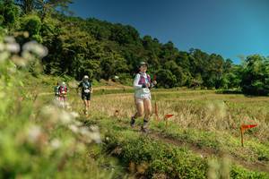 BIB: 
                            <button type="button" onclick="openModal(26736091)" class="btn btn-primary btn-sm float-right btn-popup" data-toggle="modal" data-target=".modal-high-quality">
                        <i class="fas fa-shopping-cart"></i> Add to Cart
                    </button>
                                            <button type="button" onclick="isThisMe(26736091, true)" class="btn btn-success btn-sm float-right btn-popup btn-isme hidden" data-toggle="tooltip" data-placement="bottom" title="นี่คือรูปของคุณใช่ไหม คลิกที่นี่เพื่อเอาเข้าอัลบั้ม">
                        <i class="fas fa-plus"></i> Add to album
                    </button>
                    <button type="button" onclick="isThisMe(26736091, false)" class="btn btn-warning btn-sm float-right btn-popup btn-isnotme hidden">
                        <i class="fas fa-ban"></i> Remove from album
                    </button>