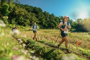 BIB: 
                            <button type="button" onclick="openModal(26637737)" class="btn btn-primary btn-sm float-right btn-popup" data-toggle="modal" data-target=".modal-high-quality">
                        <i class="fas fa-shopping-cart"></i> Add to Cart
                    </button>
                                            <button type="button" onclick="isThisMe(26637737, true)" class="btn btn-success btn-sm float-right btn-popup btn-isme hidden" data-toggle="tooltip" data-placement="bottom" title="นี่คือรูปของคุณใช่ไหม คลิกที่นี่เพื่อเอาเข้าอัลบั้ม">
                        <i class="fas fa-plus"></i> Add to album
                    </button>
                    <button type="button" onclick="isThisMe(26637737, false)" class="btn btn-warning btn-sm float-right btn-popup btn-isnotme hidden">
                        <i class="fas fa-ban"></i> Remove from album
                    </button>