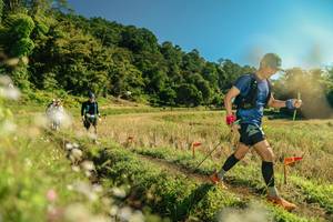 BIB: 
                            <button type="button" onclick="openModal(26684611)" class="btn btn-primary btn-sm float-right btn-popup" data-toggle="modal" data-target=".modal-high-quality">
                        <i class="fas fa-shopping-cart"></i> Add to Cart
                    </button>
                                            <button type="button" onclick="isThisMe(26684611, true)" class="btn btn-success btn-sm float-right btn-popup btn-isme hidden" data-toggle="tooltip" data-placement="bottom" title="นี่คือรูปของคุณใช่ไหม คลิกที่นี่เพื่อเอาเข้าอัลบั้ม">
                        <i class="fas fa-plus"></i> Add to album
                    </button>
                    <button type="button" onclick="isThisMe(26684611, false)" class="btn btn-warning btn-sm float-right btn-popup btn-isnotme hidden">
                        <i class="fas fa-ban"></i> Remove from album
                    </button>