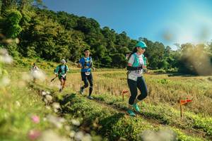 BIB: 
                            <button type="button" onclick="openModal(26638879)" class="btn btn-primary btn-sm float-right btn-popup" data-toggle="modal" data-target=".modal-high-quality">
                        <i class="fas fa-shopping-cart"></i> Add to Cart
                    </button>
                                            <button type="button" onclick="isThisMe(26638879, true)" class="btn btn-success btn-sm float-right btn-popup btn-isme hidden" data-toggle="tooltip" data-placement="bottom" title="นี่คือรูปของคุณใช่ไหม คลิกที่นี่เพื่อเอาเข้าอัลบั้ม">
                        <i class="fas fa-plus"></i> Add to album
                    </button>
                    <button type="button" onclick="isThisMe(26638879, false)" class="btn btn-warning btn-sm float-right btn-popup btn-isnotme hidden">
                        <i class="fas fa-ban"></i> Remove from album
                    </button>