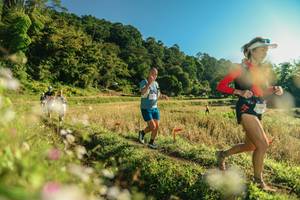 BIB: 
                            <button type="button" onclick="openModal(26636495)" class="btn btn-primary btn-sm float-right btn-popup" data-toggle="modal" data-target=".modal-high-quality">
                        <i class="fas fa-shopping-cart"></i> Add to Cart
                    </button>
                                            <button type="button" onclick="isThisMe(26636495, true)" class="btn btn-success btn-sm float-right btn-popup btn-isme hidden" data-toggle="tooltip" data-placement="bottom" title="นี่คือรูปของคุณใช่ไหม คลิกที่นี่เพื่อเอาเข้าอัลบั้ม">
                        <i class="fas fa-plus"></i> Add to album
                    </button>
                    <button type="button" onclick="isThisMe(26636495, false)" class="btn btn-warning btn-sm float-right btn-popup btn-isnotme hidden">
                        <i class="fas fa-ban"></i> Remove from album
                    </button>