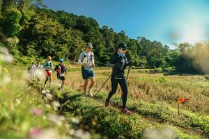 BIB: 
                            <button type="button" onclick="openModal(26637597)" class="btn btn-primary btn-sm float-right btn-popup" data-toggle="modal" data-target=".modal-high-quality">
                        <i class="fas fa-shopping-cart"></i> Add to Cart
                    </button>
                                            <button type="button" onclick="isThisMe(26637597, true)" class="btn btn-success btn-sm float-right btn-popup btn-isme hidden" data-toggle="tooltip" data-placement="bottom" title="นี่คือรูปของคุณใช่ไหม คลิกที่นี่เพื่อเอาเข้าอัลบั้ม">
                        <i class="fas fa-plus"></i> Add to album
                    </button>
                    <button type="button" onclick="isThisMe(26637597, false)" class="btn btn-warning btn-sm float-right btn-popup btn-isnotme hidden">
                        <i class="fas fa-ban"></i> Remove from album
                    </button>