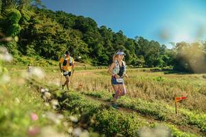 BIB: 
                            <button type="button" onclick="openModal(26669138)" class="btn btn-primary btn-sm float-right btn-popup" data-toggle="modal" data-target=".modal-high-quality">
                        <i class="fas fa-shopping-cart"></i> Add to Cart
                    </button>
                                            <button type="button" onclick="isThisMe(26669138, true)" class="btn btn-success btn-sm float-right btn-popup btn-isme hidden" data-toggle="tooltip" data-placement="bottom" title="นี่คือรูปของคุณใช่ไหม คลิกที่นี่เพื่อเอาเข้าอัลบั้ม">
                        <i class="fas fa-plus"></i> Add to album
                    </button>
                    <button type="button" onclick="isThisMe(26669138, false)" class="btn btn-warning btn-sm float-right btn-popup btn-isnotme hidden">
                        <i class="fas fa-ban"></i> Remove from album
                    </button>