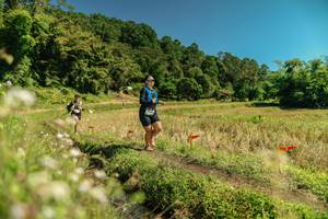 BIB: 
                            <button type="button" onclick="openModal(26725257)" class="btn btn-primary btn-sm float-right btn-popup" data-toggle="modal" data-target=".modal-high-quality">
                        <i class="fas fa-shopping-cart"></i> Add to Cart
                    </button>
                                            <button type="button" onclick="isThisMe(26725257, true)" class="btn btn-success btn-sm float-right btn-popup btn-isme hidden" data-toggle="tooltip" data-placement="bottom" title="นี่คือรูปของคุณใช่ไหม คลิกที่นี่เพื่อเอาเข้าอัลบั้ม">
                        <i class="fas fa-plus"></i> Add to album
                    </button>
                    <button type="button" onclick="isThisMe(26725257, false)" class="btn btn-warning btn-sm float-right btn-popup btn-isnotme hidden">
                        <i class="fas fa-ban"></i> Remove from album
                    </button>