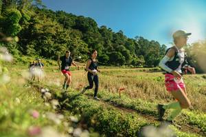 BIB: 
                            <button type="button" onclick="openModal(26638483)" class="btn btn-primary btn-sm float-right btn-popup" data-toggle="modal" data-target=".modal-high-quality">
                        <i class="fas fa-shopping-cart"></i> Add to Cart
                    </button>
                                            <button type="button" onclick="isThisMe(26638483, true)" class="btn btn-success btn-sm float-right btn-popup btn-isme hidden" data-toggle="tooltip" data-placement="bottom" title="นี่คือรูปของคุณใช่ไหม คลิกที่นี่เพื่อเอาเข้าอัลบั้ม">
                        <i class="fas fa-plus"></i> Add to album
                    </button>
                    <button type="button" onclick="isThisMe(26638483, false)" class="btn btn-warning btn-sm float-right btn-popup btn-isnotme hidden">
                        <i class="fas fa-ban"></i> Remove from album
                    </button>