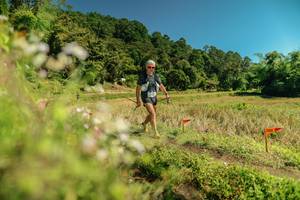 BIB: 
                            <button type="button" onclick="openModal(26721500)" class="btn btn-primary btn-sm float-right btn-popup" data-toggle="modal" data-target=".modal-high-quality">
                        <i class="fas fa-shopping-cart"></i> Add to Cart
                    </button>
                                            <button type="button" onclick="isThisMe(26721500, true)" class="btn btn-success btn-sm float-right btn-popup btn-isme hidden" data-toggle="tooltip" data-placement="bottom" title="นี่คือรูปของคุณใช่ไหม คลิกที่นี่เพื่อเอาเข้าอัลบั้ม">
                        <i class="fas fa-plus"></i> Add to album
                    </button>
                    <button type="button" onclick="isThisMe(26721500, false)" class="btn btn-warning btn-sm float-right btn-popup btn-isnotme hidden">
                        <i class="fas fa-ban"></i> Remove from album
                    </button>