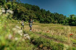 BIB: 
                            <button type="button" onclick="openModal(26738333)" class="btn btn-primary btn-sm float-right btn-popup" data-toggle="modal" data-target=".modal-high-quality">
                        <i class="fas fa-shopping-cart"></i> Add to Cart
                    </button>
                                            <button type="button" onclick="isThisMe(26738333, true)" class="btn btn-success btn-sm float-right btn-popup btn-isme hidden" data-toggle="tooltip" data-placement="bottom" title="นี่คือรูปของคุณใช่ไหม คลิกที่นี่เพื่อเอาเข้าอัลบั้ม">
                        <i class="fas fa-plus"></i> Add to album
                    </button>
                    <button type="button" onclick="isThisMe(26738333, false)" class="btn btn-warning btn-sm float-right btn-popup btn-isnotme hidden">
                        <i class="fas fa-ban"></i> Remove from album
                    </button>