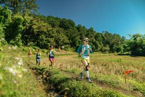 BIB: 
                            <button type="button" onclick="openModal(26717217)" class="btn btn-primary btn-sm float-right btn-popup" data-toggle="modal" data-target=".modal-high-quality">
                        <i class="fas fa-shopping-cart"></i> Add to Cart
                    </button>
                                            <button type="button" onclick="isThisMe(26717217, true)" class="btn btn-success btn-sm float-right btn-popup btn-isme hidden" data-toggle="tooltip" data-placement="bottom" title="นี่คือรูปของคุณใช่ไหม คลิกที่นี่เพื่อเอาเข้าอัลบั้ม">
                        <i class="fas fa-plus"></i> Add to album
                    </button>
                    <button type="button" onclick="isThisMe(26717217, false)" class="btn btn-warning btn-sm float-right btn-popup btn-isnotme hidden">
                        <i class="fas fa-ban"></i> Remove from album
                    </button>