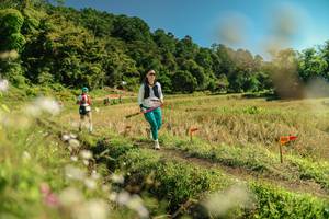 BIB: 
                            <button type="button" onclick="openModal(26699473)" class="btn btn-primary btn-sm float-right btn-popup" data-toggle="modal" data-target=".modal-high-quality">
                        <i class="fas fa-shopping-cart"></i> Add to Cart
                    </button>
                                            <button type="button" onclick="isThisMe(26699473, true)" class="btn btn-success btn-sm float-right btn-popup btn-isme hidden" data-toggle="tooltip" data-placement="bottom" title="นี่คือรูปของคุณใช่ไหม คลิกที่นี่เพื่อเอาเข้าอัลบั้ม">
                        <i class="fas fa-plus"></i> Add to album
                    </button>
                    <button type="button" onclick="isThisMe(26699473, false)" class="btn btn-warning btn-sm float-right btn-popup btn-isnotme hidden">
                        <i class="fas fa-ban"></i> Remove from album
                    </button>