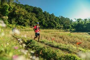 BIB: 
                            <button type="button" onclick="openModal(26637388)" class="btn btn-primary btn-sm float-right btn-popup" data-toggle="modal" data-target=".modal-high-quality">
                        <i class="fas fa-shopping-cart"></i> Add to Cart
                    </button>
                                            <button type="button" onclick="isThisMe(26637388, true)" class="btn btn-success btn-sm float-right btn-popup btn-isme hidden" data-toggle="tooltip" data-placement="bottom" title="นี่คือรูปของคุณใช่ไหม คลิกที่นี่เพื่อเอาเข้าอัลบั้ม">
                        <i class="fas fa-plus"></i> Add to album
                    </button>
                    <button type="button" onclick="isThisMe(26637388, false)" class="btn btn-warning btn-sm float-right btn-popup btn-isnotme hidden">
                        <i class="fas fa-ban"></i> Remove from album
                    </button>