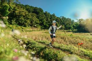 BIB: 
                            <button type="button" onclick="openModal(26638283)" class="btn btn-primary btn-sm float-right btn-popup" data-toggle="modal" data-target=".modal-high-quality">
                        <i class="fas fa-shopping-cart"></i> Add to Cart
                    </button>
                                            <button type="button" onclick="isThisMe(26638283, true)" class="btn btn-success btn-sm float-right btn-popup btn-isme hidden" data-toggle="tooltip" data-placement="bottom" title="นี่คือรูปของคุณใช่ไหม คลิกที่นี่เพื่อเอาเข้าอัลบั้ม">
                        <i class="fas fa-plus"></i> Add to album
                    </button>
                    <button type="button" onclick="isThisMe(26638283, false)" class="btn btn-warning btn-sm float-right btn-popup btn-isnotme hidden">
                        <i class="fas fa-ban"></i> Remove from album
                    </button>