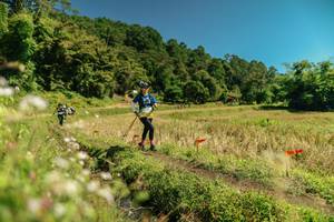 BIB: 
                            <button type="button" onclick="openModal(26722709)" class="btn btn-primary btn-sm float-right btn-popup" data-toggle="modal" data-target=".modal-high-quality">
                        <i class="fas fa-shopping-cart"></i> Add to Cart
                    </button>
                                            <button type="button" onclick="isThisMe(26722709, true)" class="btn btn-success btn-sm float-right btn-popup btn-isme hidden" data-toggle="tooltip" data-placement="bottom" title="นี่คือรูปของคุณใช่ไหม คลิกที่นี่เพื่อเอาเข้าอัลบั้ม">
                        <i class="fas fa-plus"></i> Add to album
                    </button>
                    <button type="button" onclick="isThisMe(26722709, false)" class="btn btn-warning btn-sm float-right btn-popup btn-isnotme hidden">
                        <i class="fas fa-ban"></i> Remove from album
                    </button>