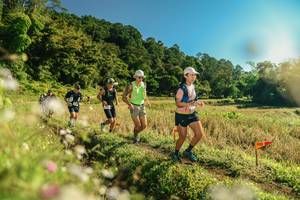 BIB: 
                            <button type="button" onclick="openModal(26638424)" class="btn btn-primary btn-sm float-right btn-popup" data-toggle="modal" data-target=".modal-high-quality">
                        <i class="fas fa-shopping-cart"></i> Add to Cart
                    </button>
                                            <button type="button" onclick="isThisMe(26638424, true)" class="btn btn-success btn-sm float-right btn-popup btn-isme hidden" data-toggle="tooltip" data-placement="bottom" title="นี่คือรูปของคุณใช่ไหม คลิกที่นี่เพื่อเอาเข้าอัลบั้ม">
                        <i class="fas fa-plus"></i> Add to album
                    </button>
                    <button type="button" onclick="isThisMe(26638424, false)" class="btn btn-warning btn-sm float-right btn-popup btn-isnotme hidden">
                        <i class="fas fa-ban"></i> Remove from album
                    </button>