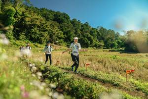 BIB: 
                            <button type="button" onclick="openModal(26690182)" class="btn btn-primary btn-sm float-right btn-popup" data-toggle="modal" data-target=".modal-high-quality">
                        <i class="fas fa-shopping-cart"></i> Add to Cart
                    </button>
                                            <button type="button" onclick="isThisMe(26690182, true)" class="btn btn-success btn-sm float-right btn-popup btn-isme hidden" data-toggle="tooltip" data-placement="bottom" title="นี่คือรูปของคุณใช่ไหม คลิกที่นี่เพื่อเอาเข้าอัลบั้ม">
                        <i class="fas fa-plus"></i> Add to album
                    </button>
                    <button type="button" onclick="isThisMe(26690182, false)" class="btn btn-warning btn-sm float-right btn-popup btn-isnotme hidden">
                        <i class="fas fa-ban"></i> Remove from album
                    </button>