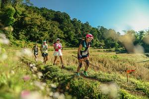 BIB: 
                            <button type="button" onclick="openModal(26637026)" class="btn btn-primary btn-sm float-right btn-popup" data-toggle="modal" data-target=".modal-high-quality">
                        <i class="fas fa-shopping-cart"></i> Add to Cart
                    </button>
                                            <button type="button" onclick="isThisMe(26637026, true)" class="btn btn-success btn-sm float-right btn-popup btn-isme hidden" data-toggle="tooltip" data-placement="bottom" title="นี่คือรูปของคุณใช่ไหม คลิกที่นี่เพื่อเอาเข้าอัลบั้ม">
                        <i class="fas fa-plus"></i> Add to album
                    </button>
                    <button type="button" onclick="isThisMe(26637026, false)" class="btn btn-warning btn-sm float-right btn-popup btn-isnotme hidden">
                        <i class="fas fa-ban"></i> Remove from album
                    </button>