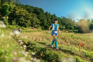 BIB: 
                            <button type="button" onclick="openModal(26677262)" class="btn btn-primary btn-sm float-right btn-popup" data-toggle="modal" data-target=".modal-high-quality">
                        <i class="fas fa-shopping-cart"></i> Add to Cart
                    </button>
                                            <button type="button" onclick="isThisMe(26677262, true)" class="btn btn-success btn-sm float-right btn-popup btn-isme hidden" data-toggle="tooltip" data-placement="bottom" title="นี่คือรูปของคุณใช่ไหม คลิกที่นี่เพื่อเอาเข้าอัลบั้ม">
                        <i class="fas fa-plus"></i> Add to album
                    </button>
                    <button type="button" onclick="isThisMe(26677262, false)" class="btn btn-warning btn-sm float-right btn-popup btn-isnotme hidden">
                        <i class="fas fa-ban"></i> Remove from album
                    </button>