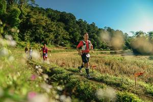 BIB: 
                            <button type="button" onclick="openModal(26636047)" class="btn btn-primary btn-sm float-right btn-popup" data-toggle="modal" data-target=".modal-high-quality">
                        <i class="fas fa-shopping-cart"></i> Add to Cart
                    </button>
                                            <button type="button" onclick="isThisMe(26636047, true)" class="btn btn-success btn-sm float-right btn-popup btn-isme hidden" data-toggle="tooltip" data-placement="bottom" title="นี่คือรูปของคุณใช่ไหม คลิกที่นี่เพื่อเอาเข้าอัลบั้ม">
                        <i class="fas fa-plus"></i> Add to album
                    </button>
                    <button type="button" onclick="isThisMe(26636047, false)" class="btn btn-warning btn-sm float-right btn-popup btn-isnotme hidden">
                        <i class="fas fa-ban"></i> Remove from album
                    </button>