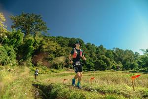 BIB: 
                            <button type="button" onclick="openModal(26694160)" class="btn btn-primary btn-sm float-right btn-popup" data-toggle="modal" data-target=".modal-high-quality">
                        <i class="fas fa-shopping-cart"></i> Add to Cart
                    </button>
                                            <button type="button" onclick="isThisMe(26694160, true)" class="btn btn-success btn-sm float-right btn-popup btn-isme hidden" data-toggle="tooltip" data-placement="bottom" title="นี่คือรูปของคุณใช่ไหม คลิกที่นี่เพื่อเอาเข้าอัลบั้ม">
                        <i class="fas fa-plus"></i> Add to album
                    </button>
                    <button type="button" onclick="isThisMe(26694160, false)" class="btn btn-warning btn-sm float-right btn-popup btn-isnotme hidden">
                        <i class="fas fa-ban"></i> Remove from album
                    </button>