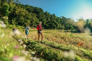 BIB: 
                            <button type="button" onclick="openModal(26636484)" class="btn btn-primary btn-sm float-right btn-popup" data-toggle="modal" data-target=".modal-high-quality">
                        <i class="fas fa-shopping-cart"></i> Add to Cart
                    </button>
                                            <button type="button" onclick="isThisMe(26636484, true)" class="btn btn-success btn-sm float-right btn-popup btn-isme hidden" data-toggle="tooltip" data-placement="bottom" title="นี่คือรูปของคุณใช่ไหม คลิกที่นี่เพื่อเอาเข้าอัลบั้ม">
                        <i class="fas fa-plus"></i> Add to album
                    </button>
                    <button type="button" onclick="isThisMe(26636484, false)" class="btn btn-warning btn-sm float-right btn-popup btn-isnotme hidden">
                        <i class="fas fa-ban"></i> Remove from album
                    </button>