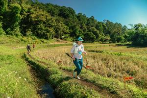 BIB: 
                            <button type="button" onclick="openModal(26694303)" class="btn btn-primary btn-sm float-right btn-popup" data-toggle="modal" data-target=".modal-high-quality">
                        <i class="fas fa-shopping-cart"></i> Add to Cart
                    </button>
                                            <button type="button" onclick="isThisMe(26694303, true)" class="btn btn-success btn-sm float-right btn-popup btn-isme hidden" data-toggle="tooltip" data-placement="bottom" title="นี่คือรูปของคุณใช่ไหม คลิกที่นี่เพื่อเอาเข้าอัลบั้ม">
                        <i class="fas fa-plus"></i> Add to album
                    </button>
                    <button type="button" onclick="isThisMe(26694303, false)" class="btn btn-warning btn-sm float-right btn-popup btn-isnotme hidden">
                        <i class="fas fa-ban"></i> Remove from album
                    </button>