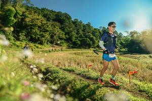 BIB: 
                            <button type="button" onclick="openModal(26638125)" class="btn btn-primary btn-sm float-right btn-popup" data-toggle="modal" data-target=".modal-high-quality">
                        <i class="fas fa-shopping-cart"></i> Add to Cart
                    </button>
                                            <button type="button" onclick="isThisMe(26638125, true)" class="btn btn-success btn-sm float-right btn-popup btn-isme hidden" data-toggle="tooltip" data-placement="bottom" title="นี่คือรูปของคุณใช่ไหม คลิกที่นี่เพื่อเอาเข้าอัลบั้ม">
                        <i class="fas fa-plus"></i> Add to album
                    </button>
                    <button type="button" onclick="isThisMe(26638125, false)" class="btn btn-warning btn-sm float-right btn-popup btn-isnotme hidden">
                        <i class="fas fa-ban"></i> Remove from album
                    </button>