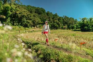 BIB: 
                            <button type="button" onclick="openModal(26732837)" class="btn btn-primary btn-sm float-right btn-popup" data-toggle="modal" data-target=".modal-high-quality">
                        <i class="fas fa-shopping-cart"></i> Add to Cart
                    </button>
                                            <button type="button" onclick="isThisMe(26732837, true)" class="btn btn-success btn-sm float-right btn-popup btn-isme hidden" data-toggle="tooltip" data-placement="bottom" title="นี่คือรูปของคุณใช่ไหม คลิกที่นี่เพื่อเอาเข้าอัลบั้ม">
                        <i class="fas fa-plus"></i> Add to album
                    </button>
                    <button type="button" onclick="isThisMe(26732837, false)" class="btn btn-warning btn-sm float-right btn-popup btn-isnotme hidden">
                        <i class="fas fa-ban"></i> Remove from album
                    </button>