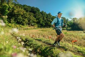 BIB: 
                            <button type="button" onclick="openModal(26638014)" class="btn btn-primary btn-sm float-right btn-popup" data-toggle="modal" data-target=".modal-high-quality">
                        <i class="fas fa-shopping-cart"></i> Add to Cart
                    </button>
                                            <button type="button" onclick="isThisMe(26638014, true)" class="btn btn-success btn-sm float-right btn-popup btn-isme hidden" data-toggle="tooltip" data-placement="bottom" title="นี่คือรูปของคุณใช่ไหม คลิกที่นี่เพื่อเอาเข้าอัลบั้ม">
                        <i class="fas fa-plus"></i> Add to album
                    </button>
                    <button type="button" onclick="isThisMe(26638014, false)" class="btn btn-warning btn-sm float-right btn-popup btn-isnotme hidden">
                        <i class="fas fa-ban"></i> Remove from album
                    </button>