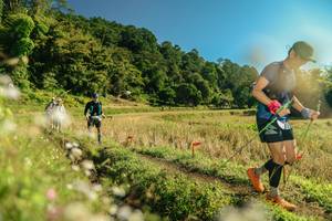 BIB: 
                            <button type="button" onclick="openModal(26684612)" class="btn btn-primary btn-sm float-right btn-popup" data-toggle="modal" data-target=".modal-high-quality">
                        <i class="fas fa-shopping-cart"></i> Add to Cart
                    </button>
                                            <button type="button" onclick="isThisMe(26684612, true)" class="btn btn-success btn-sm float-right btn-popup btn-isme hidden" data-toggle="tooltip" data-placement="bottom" title="นี่คือรูปของคุณใช่ไหม คลิกที่นี่เพื่อเอาเข้าอัลบั้ม">
                        <i class="fas fa-plus"></i> Add to album
                    </button>
                    <button type="button" onclick="isThisMe(26684612, false)" class="btn btn-warning btn-sm float-right btn-popup btn-isnotme hidden">
                        <i class="fas fa-ban"></i> Remove from album
                    </button>