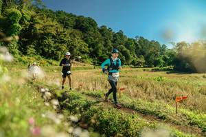 BIB: 
                            <button type="button" onclick="openModal(26687835)" class="btn btn-primary btn-sm float-right btn-popup" data-toggle="modal" data-target=".modal-high-quality">
                        <i class="fas fa-shopping-cart"></i> Add to Cart
                    </button>
                                            <button type="button" onclick="isThisMe(26687835, true)" class="btn btn-success btn-sm float-right btn-popup btn-isme hidden" data-toggle="tooltip" data-placement="bottom" title="นี่คือรูปของคุณใช่ไหม คลิกที่นี่เพื่อเอาเข้าอัลบั้ม">
                        <i class="fas fa-plus"></i> Add to album
                    </button>
                    <button type="button" onclick="isThisMe(26687835, false)" class="btn btn-warning btn-sm float-right btn-popup btn-isnotme hidden">
                        <i class="fas fa-ban"></i> Remove from album
                    </button>