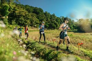 BIB: 
                            <button type="button" onclick="openModal(26679910)" class="btn btn-primary btn-sm float-right btn-popup" data-toggle="modal" data-target=".modal-high-quality">
                        <i class="fas fa-shopping-cart"></i> Add to Cart
                    </button>
                                            <button type="button" onclick="isThisMe(26679910, true)" class="btn btn-success btn-sm float-right btn-popup btn-isme hidden" data-toggle="tooltip" data-placement="bottom" title="นี่คือรูปของคุณใช่ไหม คลิกที่นี่เพื่อเอาเข้าอัลบั้ม">
                        <i class="fas fa-plus"></i> Add to album
                    </button>
                    <button type="button" onclick="isThisMe(26679910, false)" class="btn btn-warning btn-sm float-right btn-popup btn-isnotme hidden">
                        <i class="fas fa-ban"></i> Remove from album
                    </button>