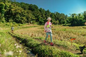 BIB: 
                            <button type="button" onclick="openModal(26702529)" class="btn btn-primary btn-sm float-right btn-popup" data-toggle="modal" data-target=".modal-high-quality">
                        <i class="fas fa-shopping-cart"></i> Add to Cart
                    </button>
                                            <button type="button" onclick="isThisMe(26702529, true)" class="btn btn-success btn-sm float-right btn-popup btn-isme hidden" data-toggle="tooltip" data-placement="bottom" title="นี่คือรูปของคุณใช่ไหม คลิกที่นี่เพื่อเอาเข้าอัลบั้ม">
                        <i class="fas fa-plus"></i> Add to album
                    </button>
                    <button type="button" onclick="isThisMe(26702529, false)" class="btn btn-warning btn-sm float-right btn-popup btn-isnotme hidden">
                        <i class="fas fa-ban"></i> Remove from album
                    </button>