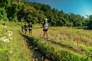 BIB: 
                            <button type="button" onclick="openModal(26694511)" class="btn btn-primary btn-sm float-right btn-popup" data-toggle="modal" data-target=".modal-high-quality">
                        <i class="fas fa-shopping-cart"></i> Add to Cart
                    </button>
                                            <button type="button" onclick="isThisMe(26694511, true)" class="btn btn-success btn-sm float-right btn-popup btn-isme hidden" data-toggle="tooltip" data-placement="bottom" title="นี่คือรูปของคุณใช่ไหม คลิกที่นี่เพื่อเอาเข้าอัลบั้ม">
                        <i class="fas fa-plus"></i> Add to album
                    </button>
                    <button type="button" onclick="isThisMe(26694511, false)" class="btn btn-warning btn-sm float-right btn-popup btn-isnotme hidden">
                        <i class="fas fa-ban"></i> Remove from album
                    </button>