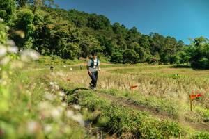 BIB: 
                            <button type="button" onclick="openModal(26734320)" class="btn btn-primary btn-sm float-right btn-popup" data-toggle="modal" data-target=".modal-high-quality">
                        <i class="fas fa-shopping-cart"></i> Add to Cart
                    </button>
                                            <button type="button" onclick="isThisMe(26734320, true)" class="btn btn-success btn-sm float-right btn-popup btn-isme hidden" data-toggle="tooltip" data-placement="bottom" title="นี่คือรูปของคุณใช่ไหม คลิกที่นี่เพื่อเอาเข้าอัลบั้ม">
                        <i class="fas fa-plus"></i> Add to album
                    </button>
                    <button type="button" onclick="isThisMe(26734320, false)" class="btn btn-warning btn-sm float-right btn-popup btn-isnotme hidden">
                        <i class="fas fa-ban"></i> Remove from album
                    </button>